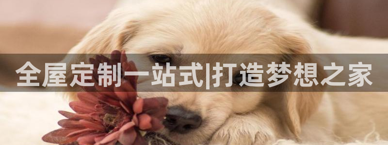 BB电子哪个平台好出款