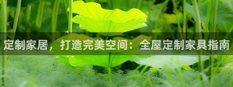BB电子骗局