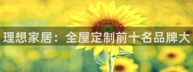 bb电子哪个游戏好赢钱一点
