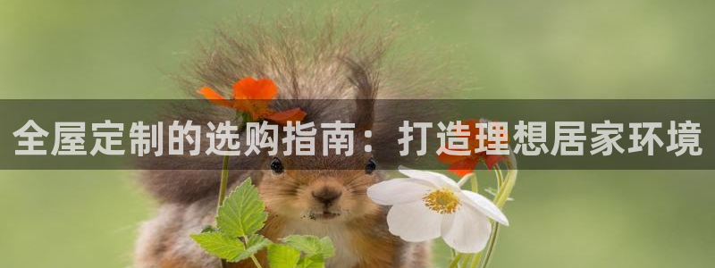 BB电子游戏钱得钱