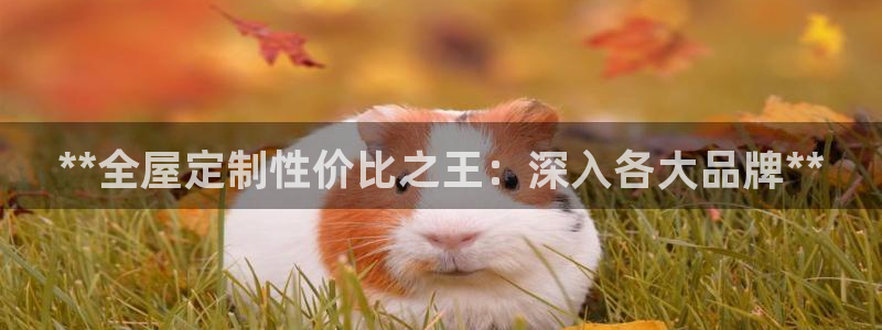 bB电子琴和弦