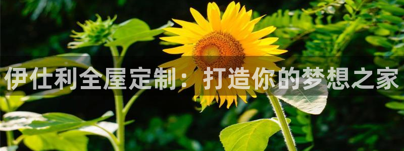 BB电子连环夺宝