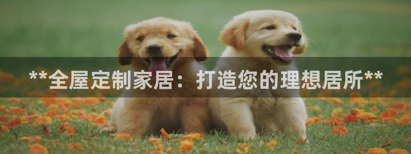 BB电子哪个平台好出款