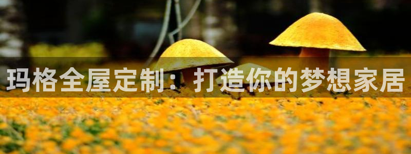 bb电子教育平台