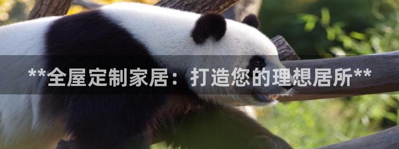BB电子连环夺宝