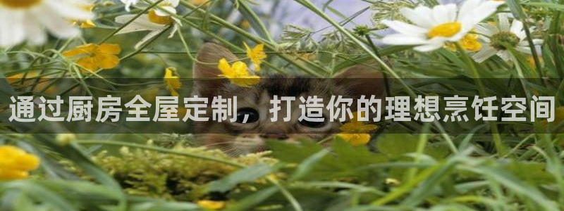 bb电子mini彩金掉落规则