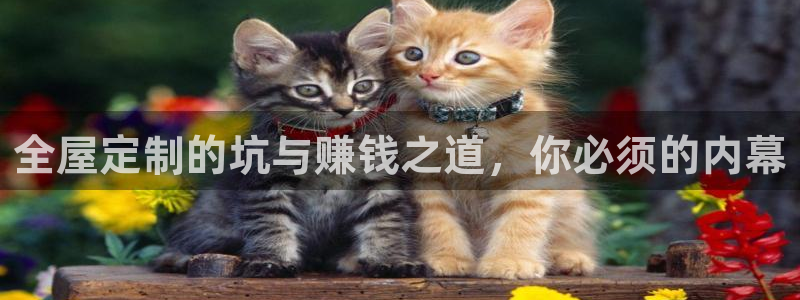 网上bb电子为什么那么假