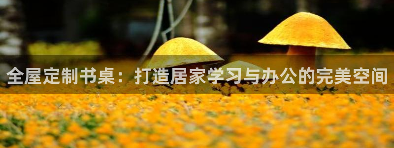 bb电子教育平台