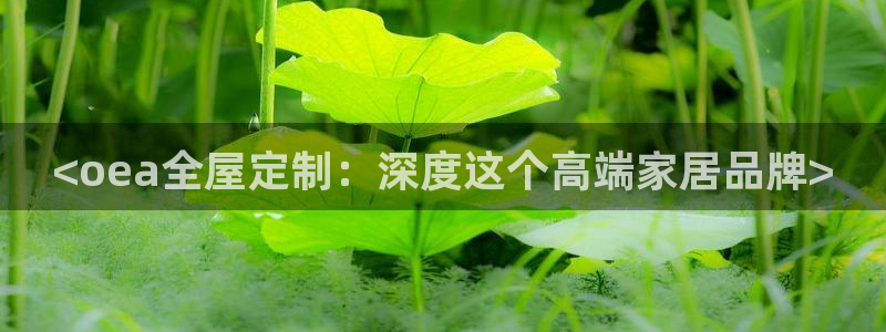 网上bb电子为什么那么假