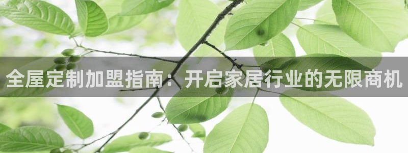 xbb电子游艺
