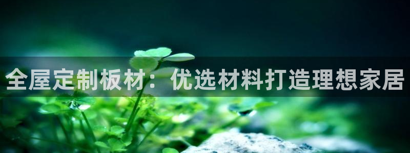 bb电子哪个平台好用点