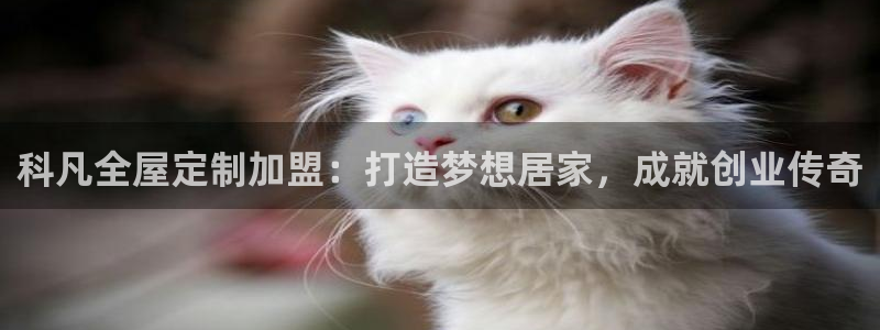 网上bb电子为什么那么假