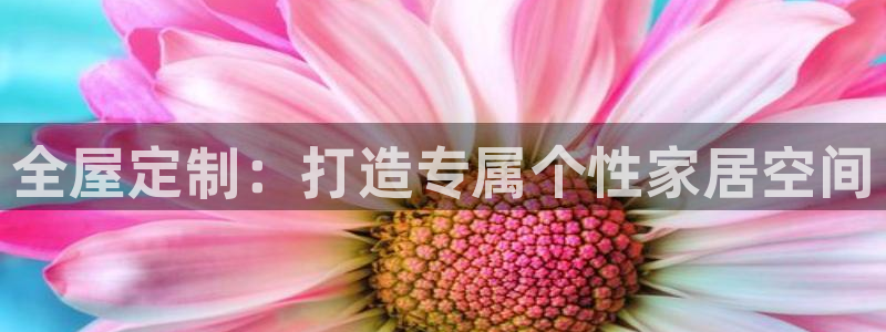 bb电子哪个平台好用一点