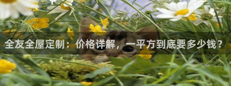 网上bb电子为什么那么假