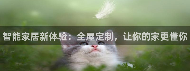 BB电子骗局