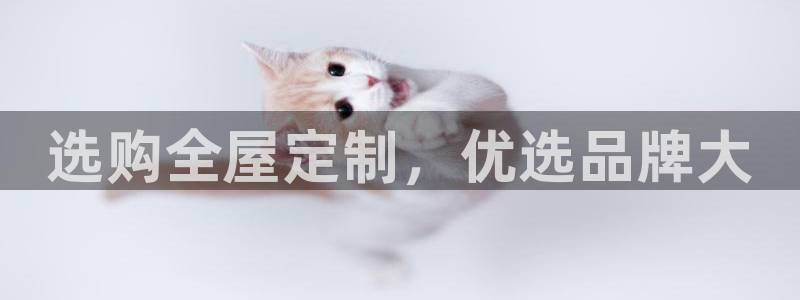bb电子怎么赢