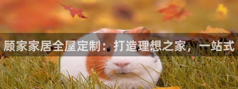 bb电子怎么样