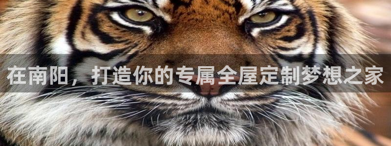 bb电子游戏作弊