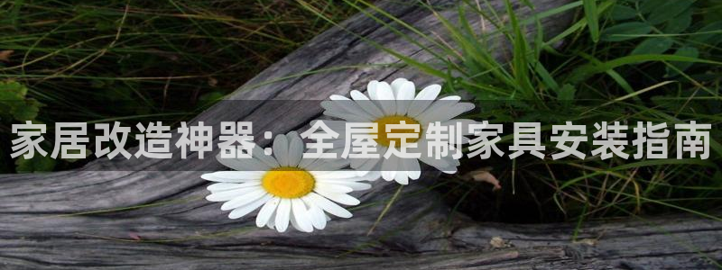 bb电子