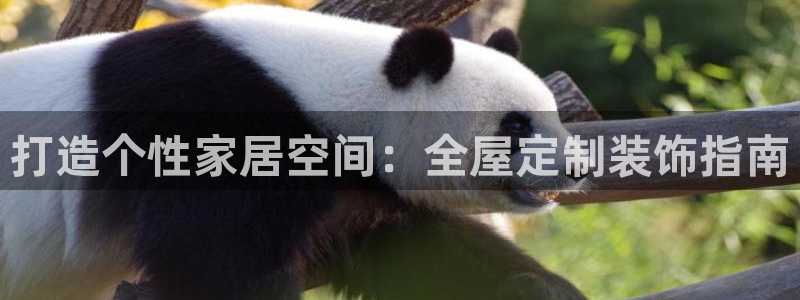bb电子官网