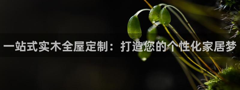 xbb电子游艺