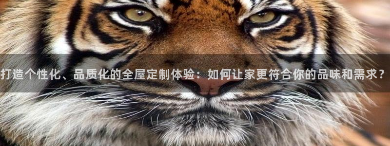 bb电子中了Major怎么算