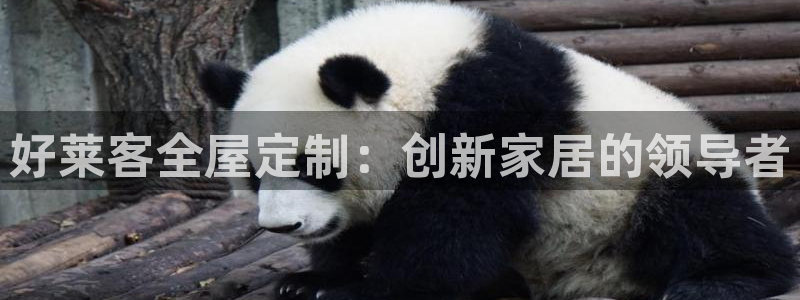 bb电子怎么赢