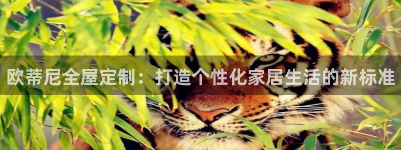 bb电子哪个平台好啊