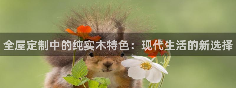 BB电子哪个平台好出款
