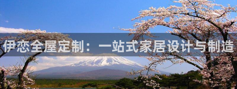 bb电子哪个平台好用