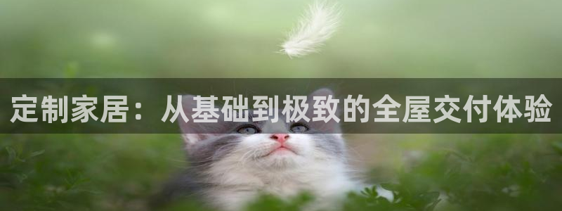 bb电子哪个平台好用一点
