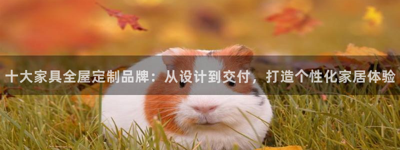 Bb电子琴和弦是哪个
