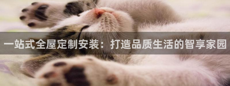 xbb电子游艺