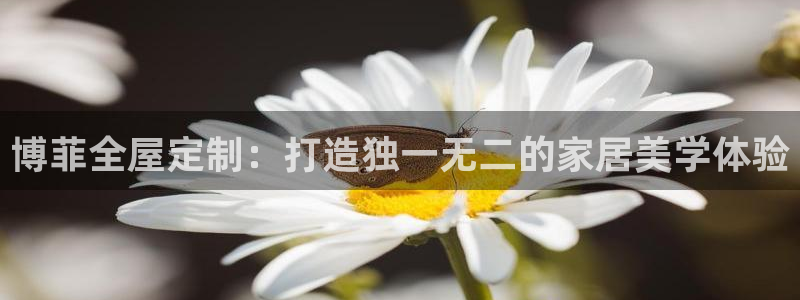 bb电子官网