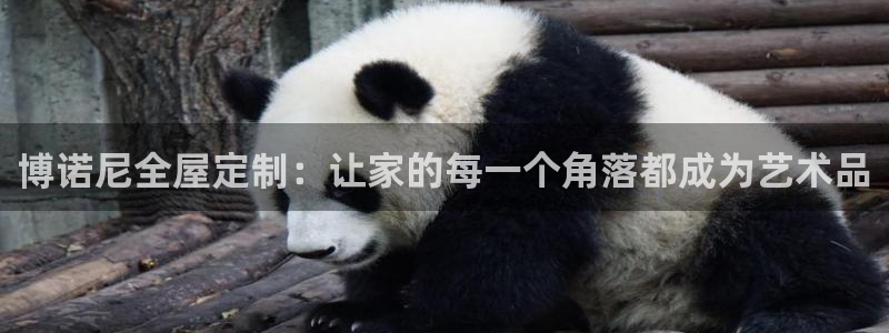 Bb电子琴和弦是哪个