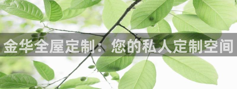bb电子哪个平台好用一点