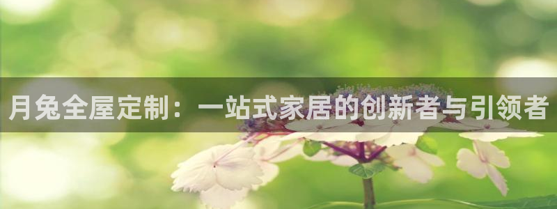 bb电子哪个平台好些
